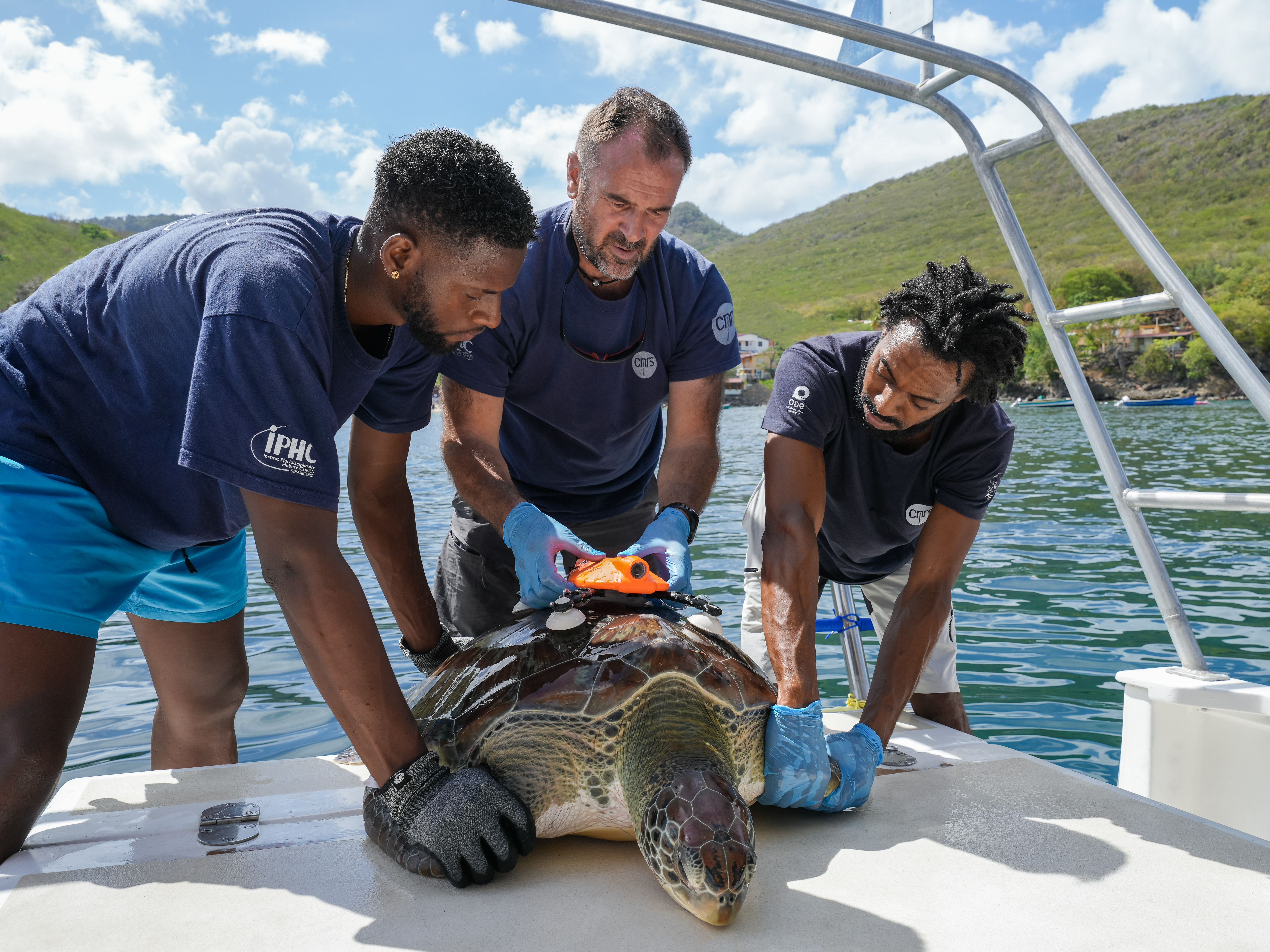 Damien Chevallier (c) Fabien Lefebvre