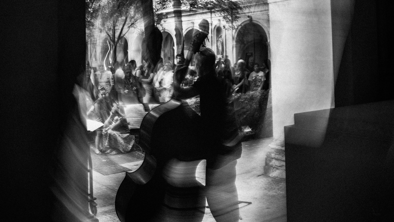Musicien au musée des Beaux-Arts de Lyon