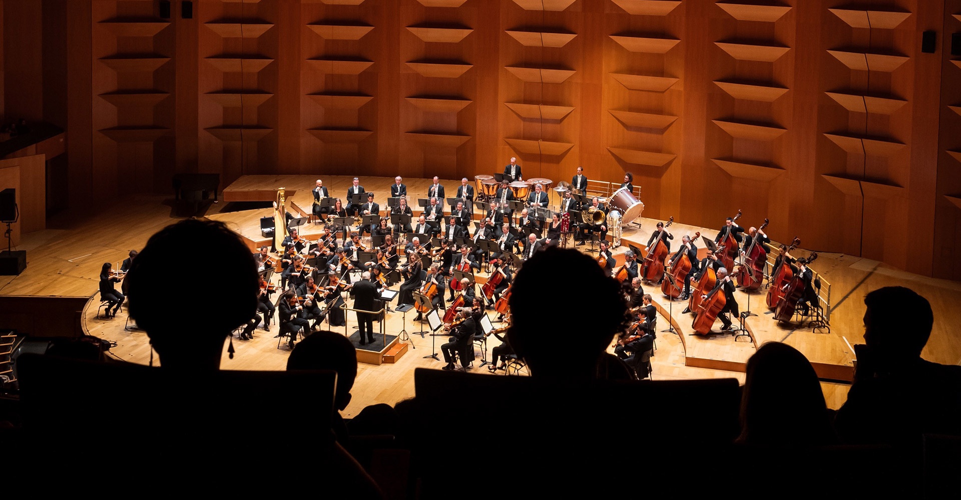 Orchestre national de Lyon sur la scène de l'Auditorium