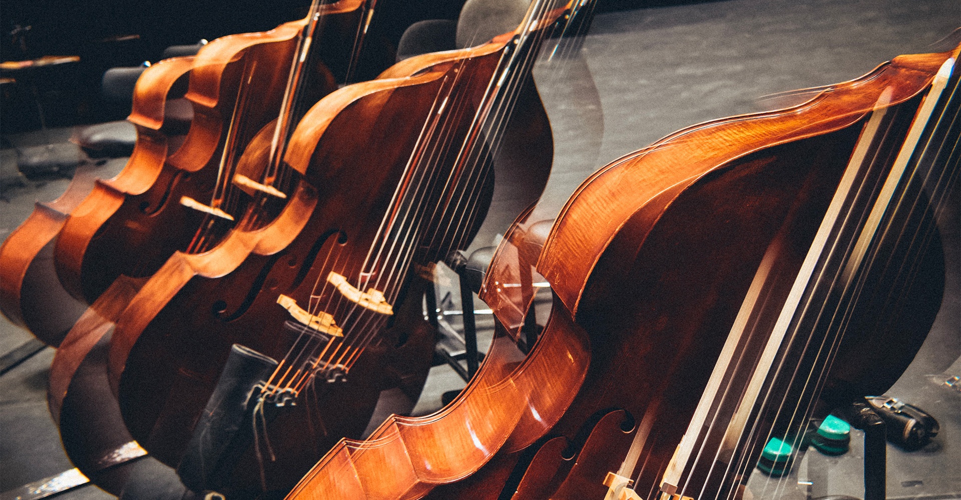 Contrebasses