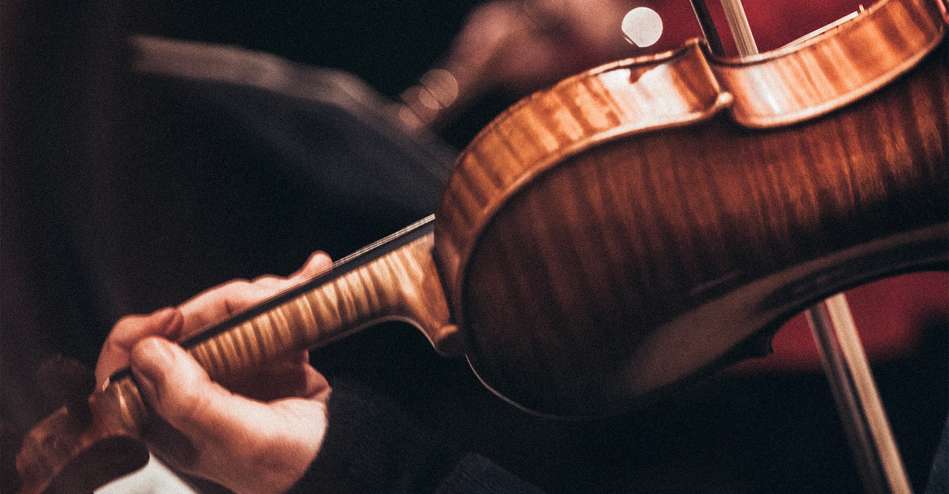 Violon