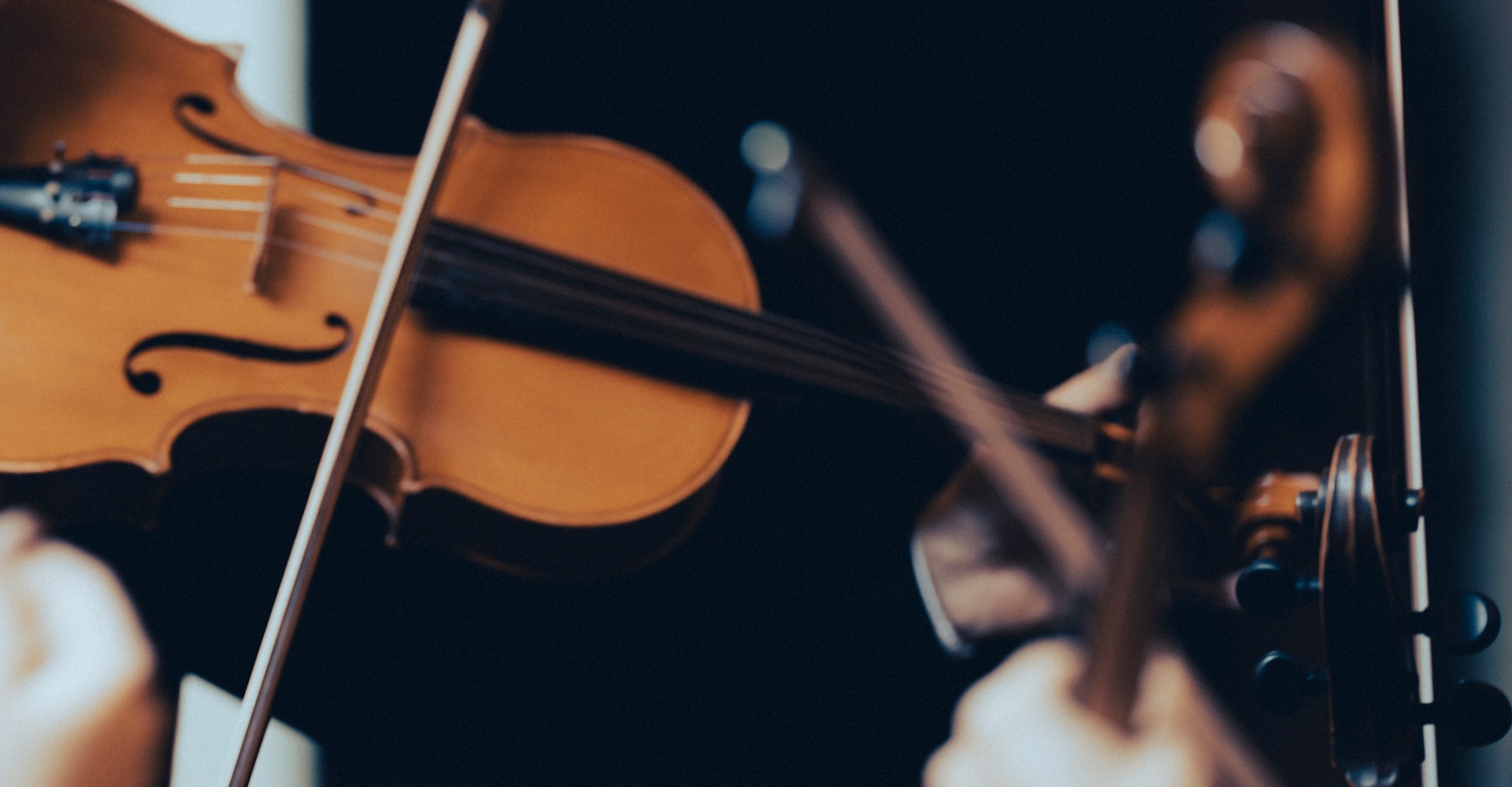 Violon