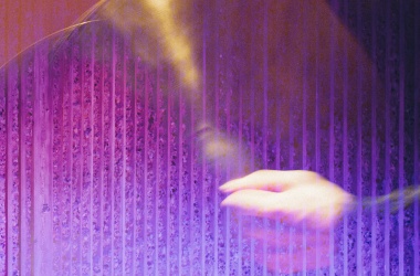 Musicien
