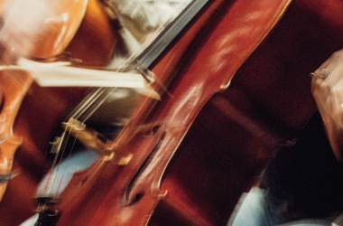 Journée du violoncelle