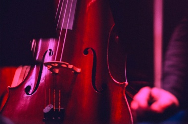Violoncelle